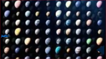 6000 كوكب.. ناسا تعلن عن اكتشافات مذهلة في عالم الكواكب الخارجية